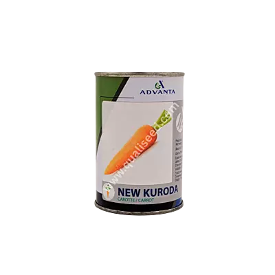 CARROT NEW KURODA_ADVT