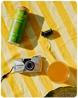 New Brew, Mango, 12 Pack