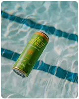 New Brew, Mango, 12 Pack