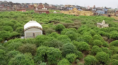 Agra and Vrindavan Combo Tour