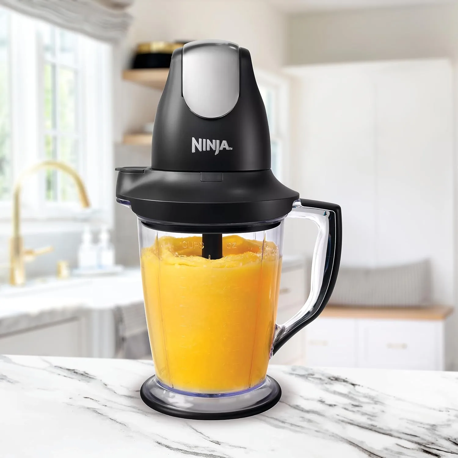 Ninja QB1004 Blender/Food Processor with 450-Watt Base, 48oz Pitcher, 16oz Chopper Bowl, and 40oz Processor Bowl for Shakes
