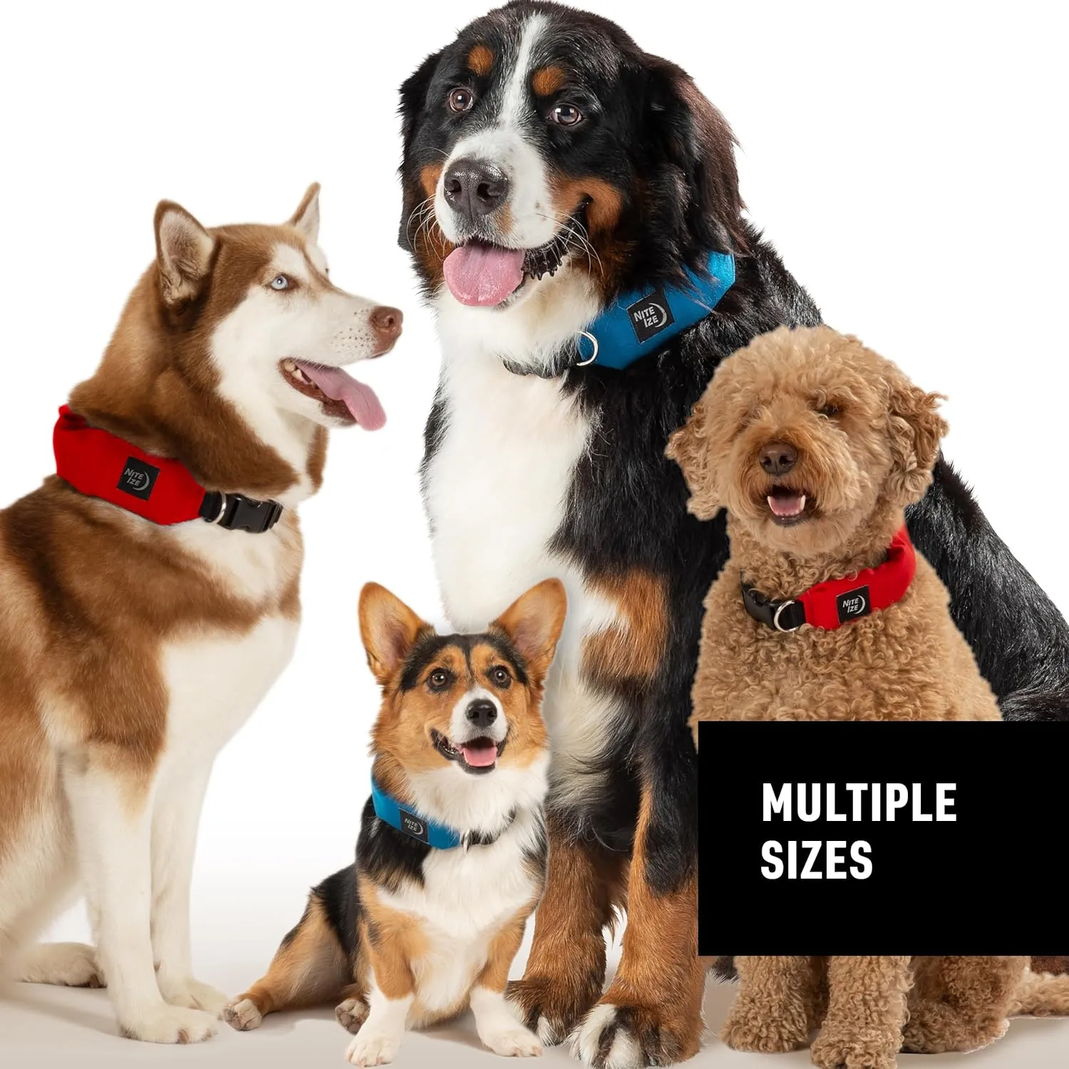 Nite Ize RadDog All-in-One Collar and Leash - Heavy-Duty Built-In 36-inch Retractable Leash