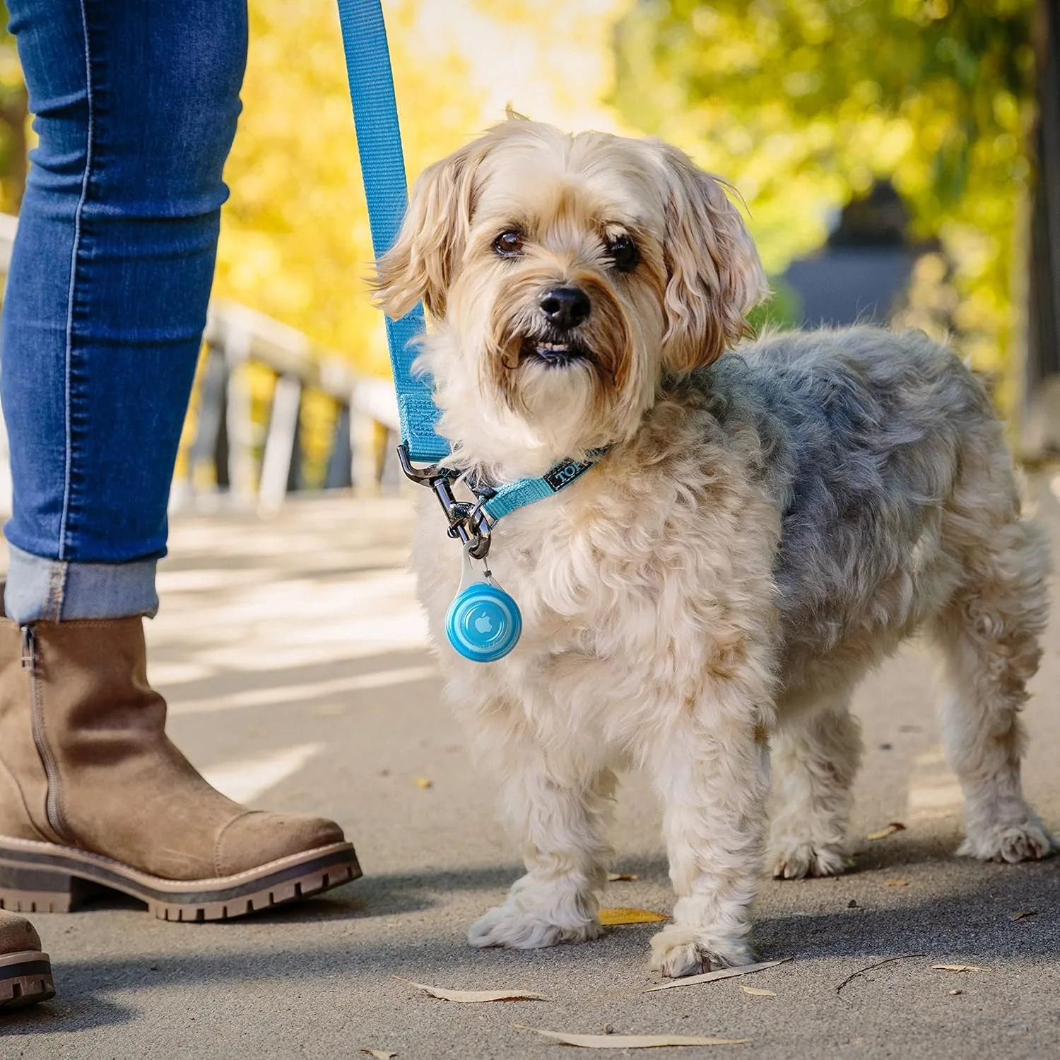NITE IZE WearAbout Pet Clippable Tracker Holder for Apple AirTag with Locking Carabiner