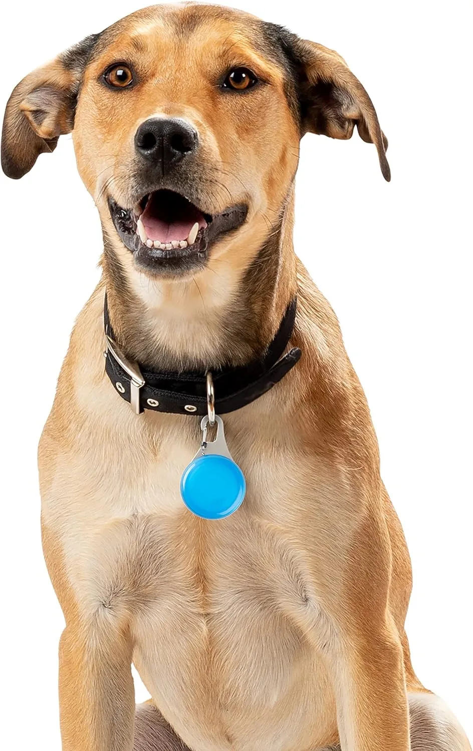NITE IZE WearAbout Pet Clippable Tracker Holder for Apple AirTag with Locking Carabiner