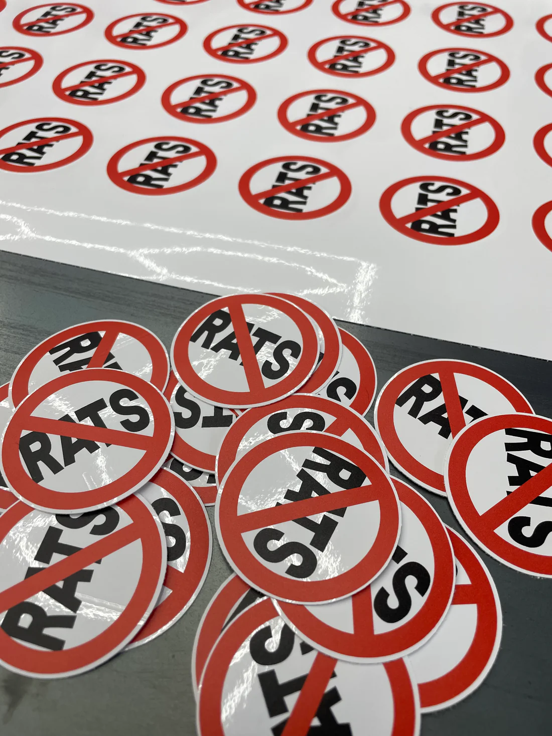 NO RATS STICKER - 2 FO 5