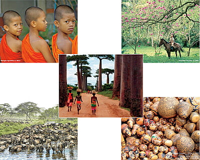 Notecards Combo Set C