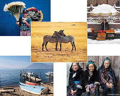 Notecards Combo Set J