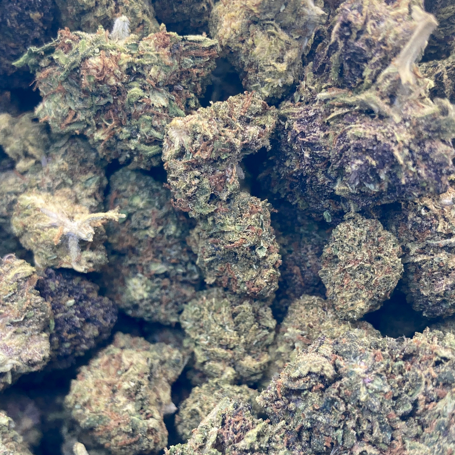 NYC Diesel Greenhouse Premium Exótica