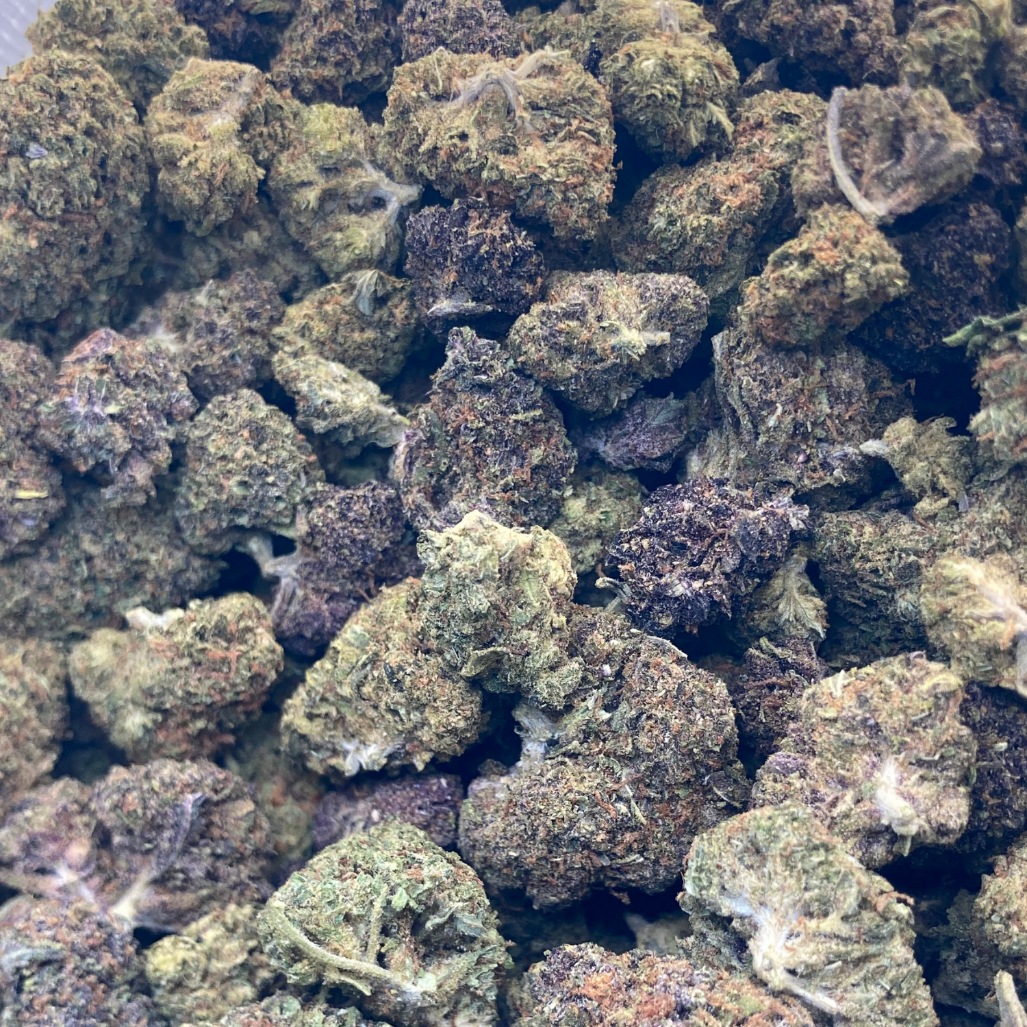 NYC Diesel Greenhouse Premium Exótica