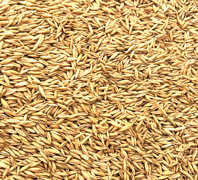 Whole Oats.