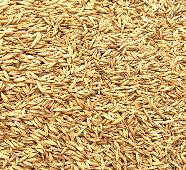 Whole Oats.