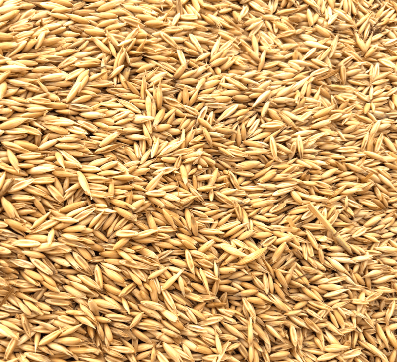 Whole Oats.
