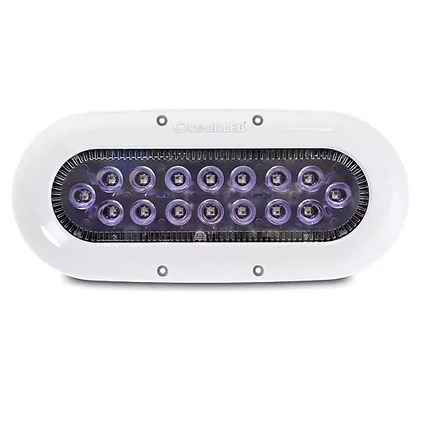 Ocean LED X-Series X16 - Midnight Blue LEDs