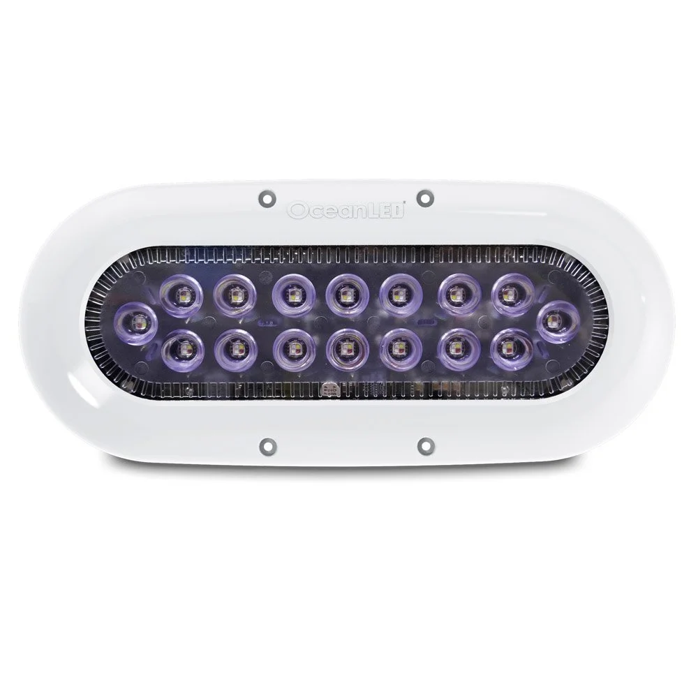 Ocean LED X-Series X16 - Colours LEDs