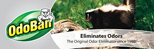 OdoBan Professional Ready-to-Use Disinfectant and Odor Eliminator, 32 Ounce Spray Bottle