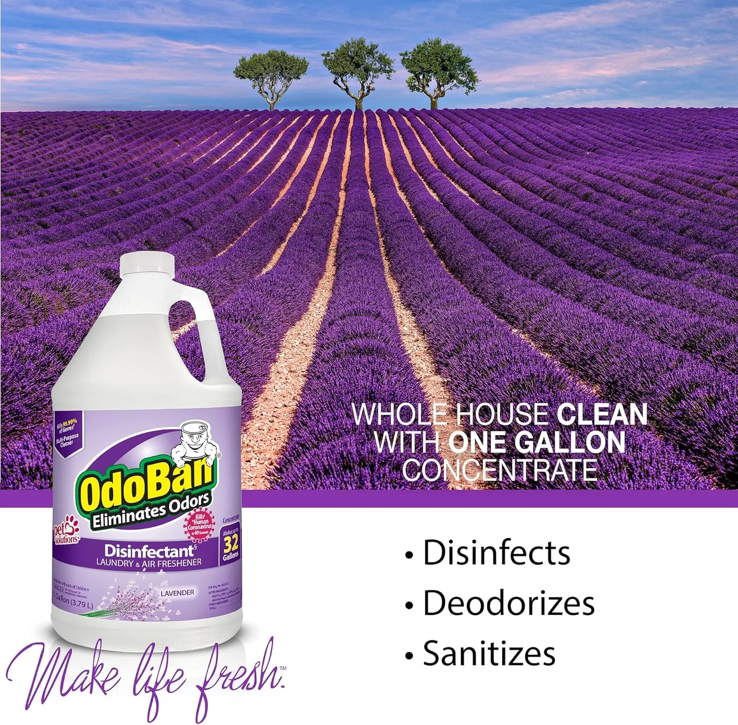 OdoBan Disinfectant Concentrate and Odor Eliminator, 1 Gallon, Lavender Scent