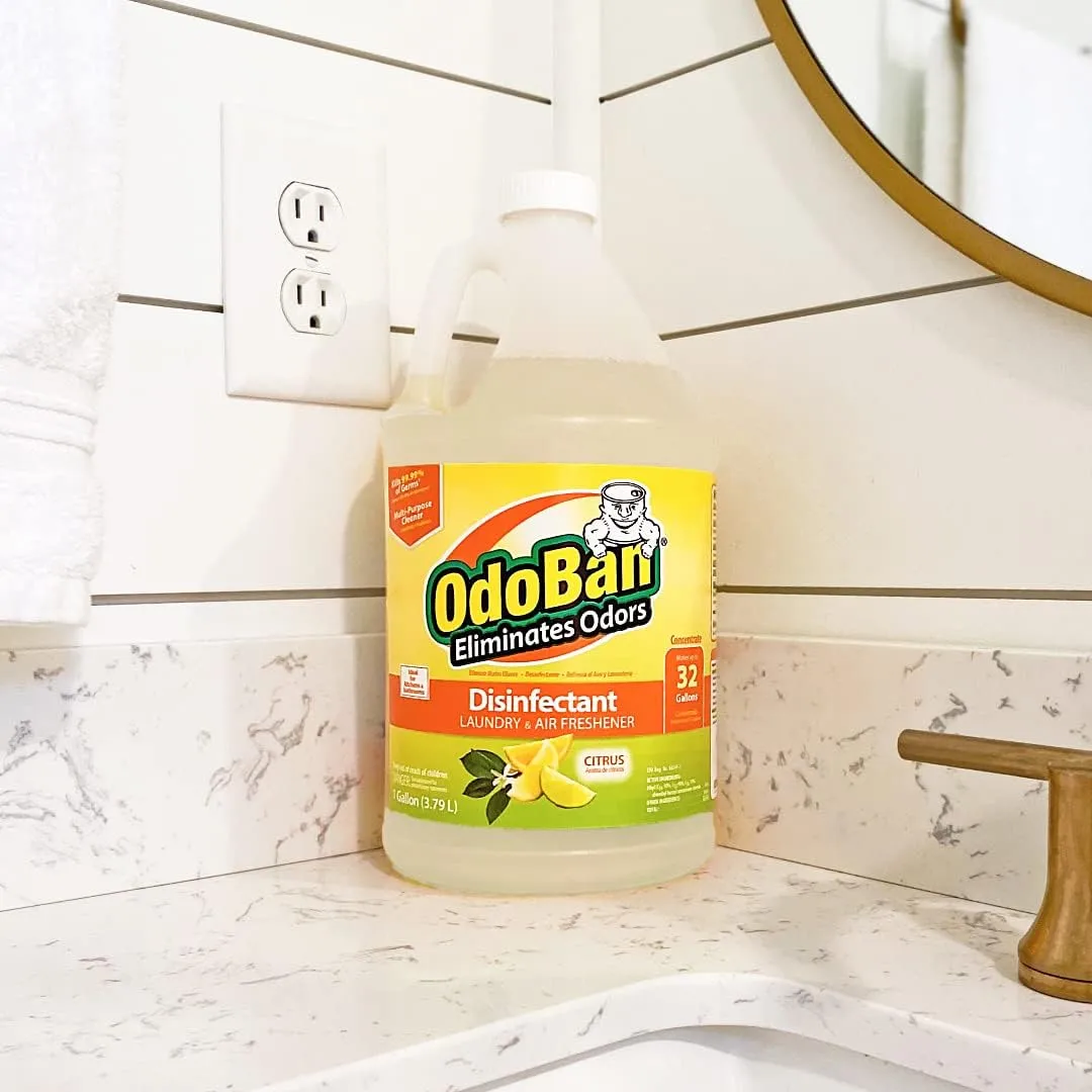 OdoBan Disinfectant Concentrate and Odor Eliminator, 1 Gallon, Citrus Scent 1 Count (Pack of 1)