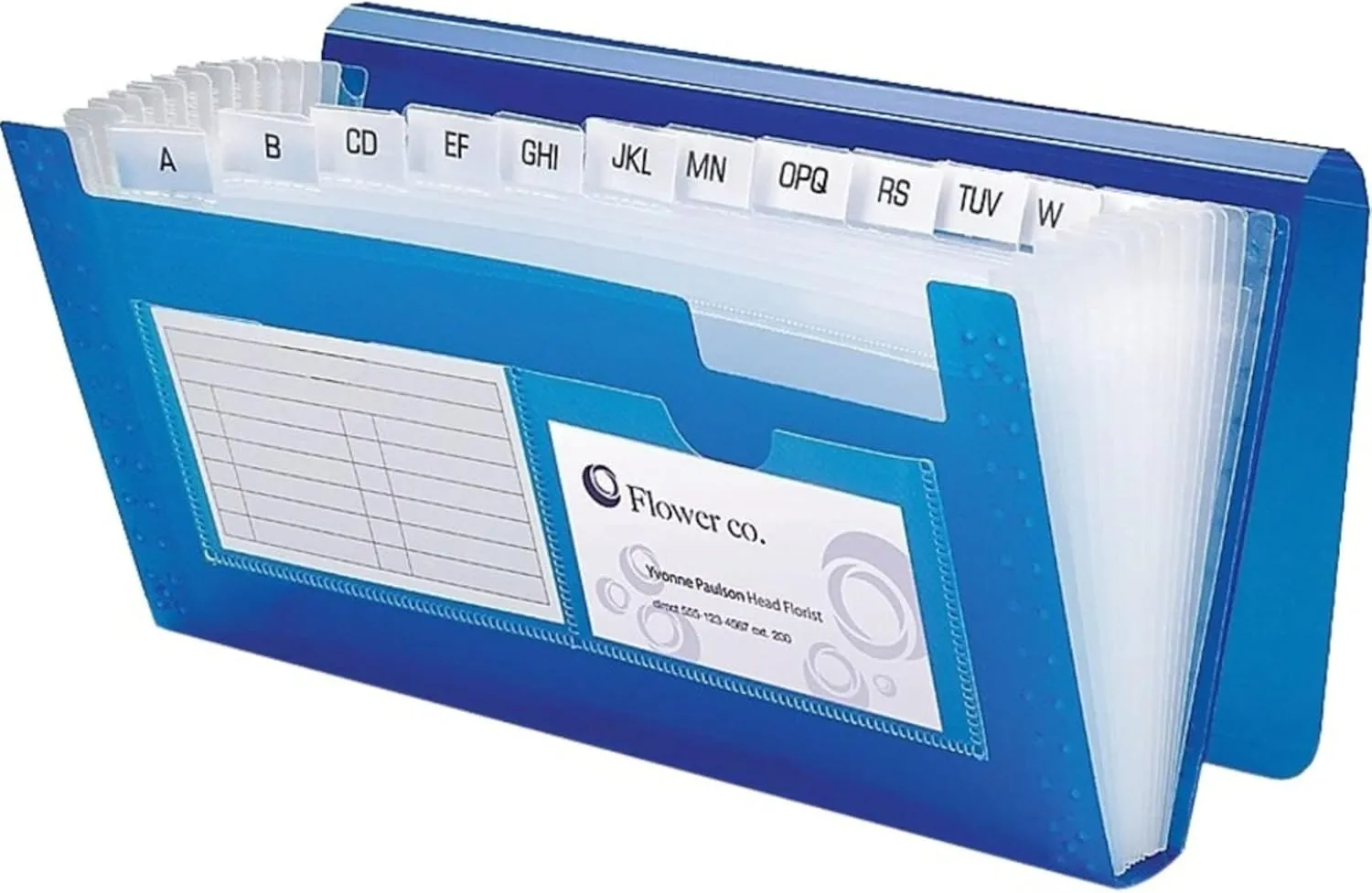 Office Depot® Brand Poly 13-Pocket File, Check Size, Blue