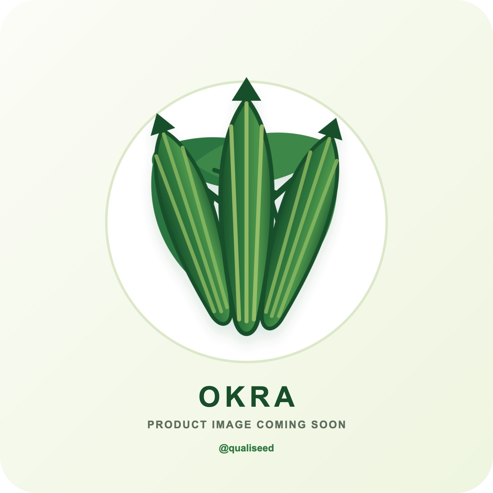 Okra Clemson Spinless