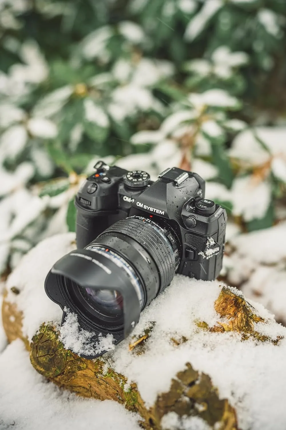 OM SYSTEM OM-1 Mark II Micro Four Thirds Camera