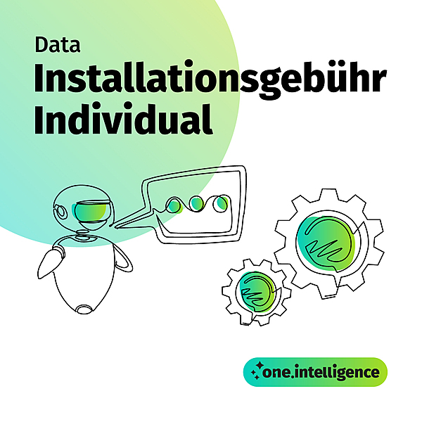 one.intelligence data: Installationsgebühr Individual