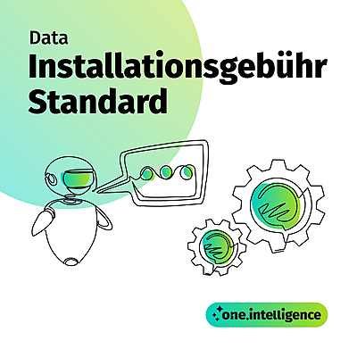 one.intelligence data: Installationsgebühr Standard