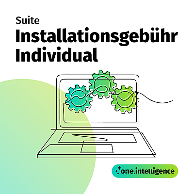 one.intelligence Suite: Installationsgebühr Individual