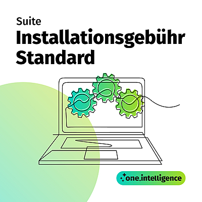 one.intelligence Suite: Installationsgebühr Standard