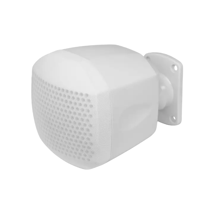 DSP129 - 20W (White)