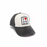 Worn Trucker Grey ILOVECT SQ