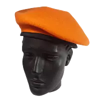 Security Beret