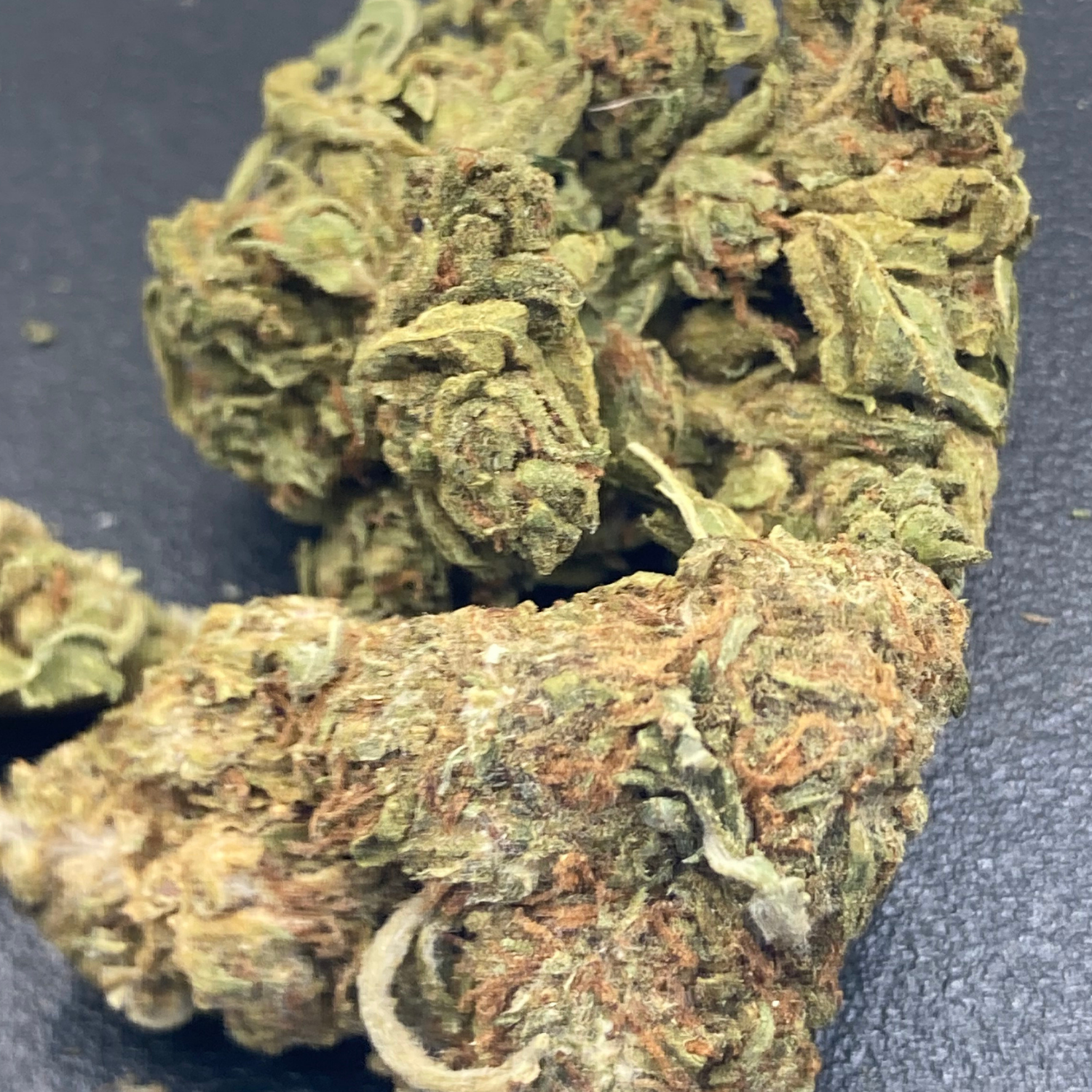 Orange Exotica Exterior Regular