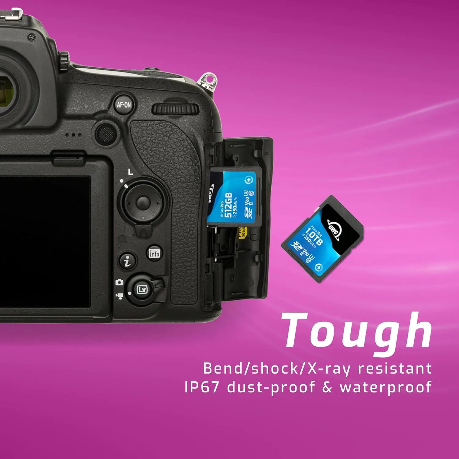 OWC Atlas SDXC UHS-II Memory Cards