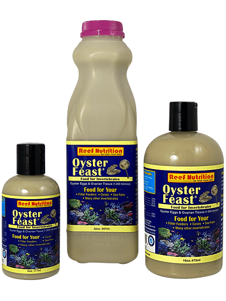 Oyster-Feast