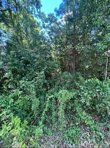 310 Ozan Ave - Affordable Vacant Lot Easy Power Access in Prescott, AR