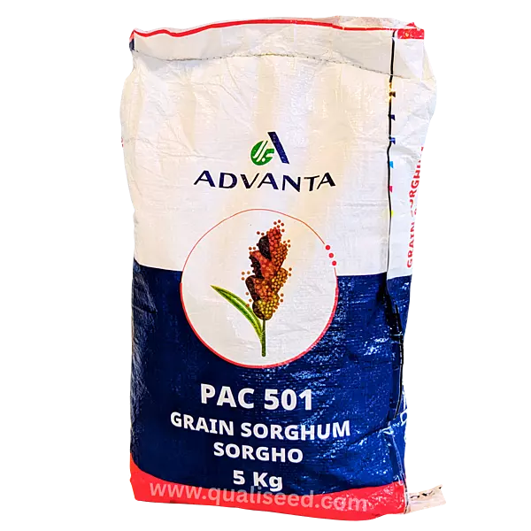 SORGHUM PAC 501