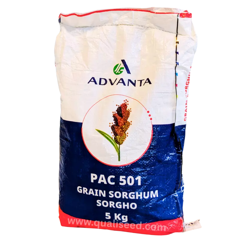 SORGHUM PAC 501