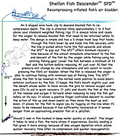 Shelton Fish Descender Shelton Fish Descender