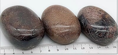Garnet Palmstones (India)