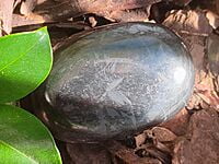 Shungite Palmstones (India) 55mm