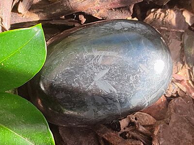 Shungite Palmstones (India) 55mm