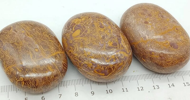 Miriam Jasper Palmstones (India) Miriam Jasper Palmstones (India)