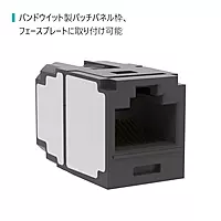 Panduit CC6X88BL Mini-com CAT6A 10Gig Rj45 8P8C Coupler Module