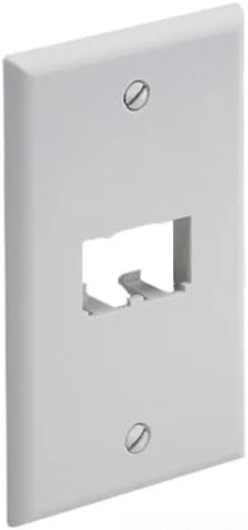 Panduit CFP2IW 1-Gang 2-Port Faceplate, Off White