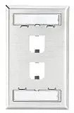 Panduit CFPL2SY 1-Gang 2-Port Faceplate, 304 Stainless Steel