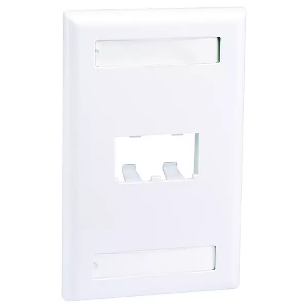 Panduit CFPL2WHY 2-Port Mini-Com Single-Gang Faceplate with Labels, Classic Series, White
