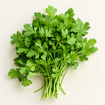 Parsley / Perejil | Per Container