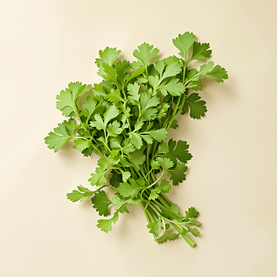 Parsley / Perejil | Per Lb