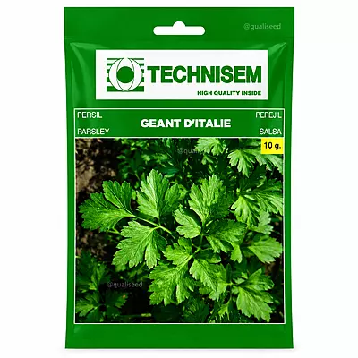 Italian Giant Parsley
