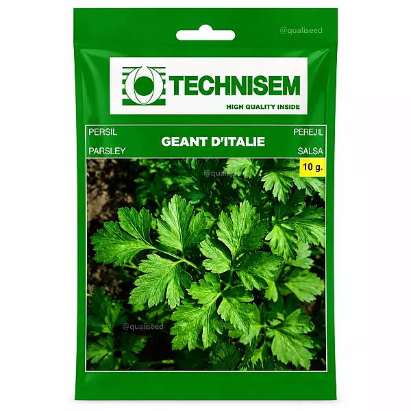 Italian Giant Parsley
